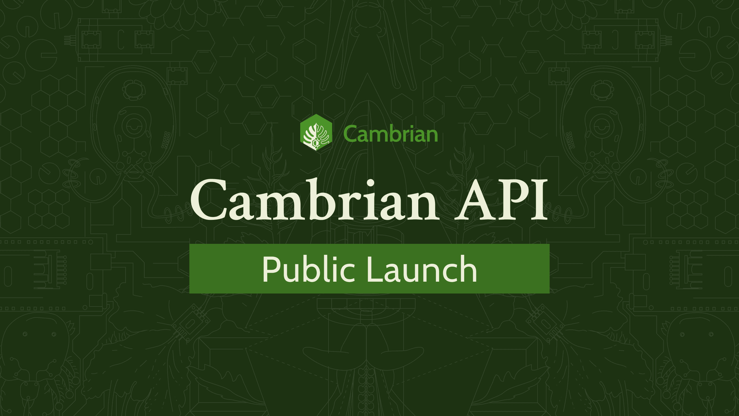 Featured image for The Cambrian API is now publicly available